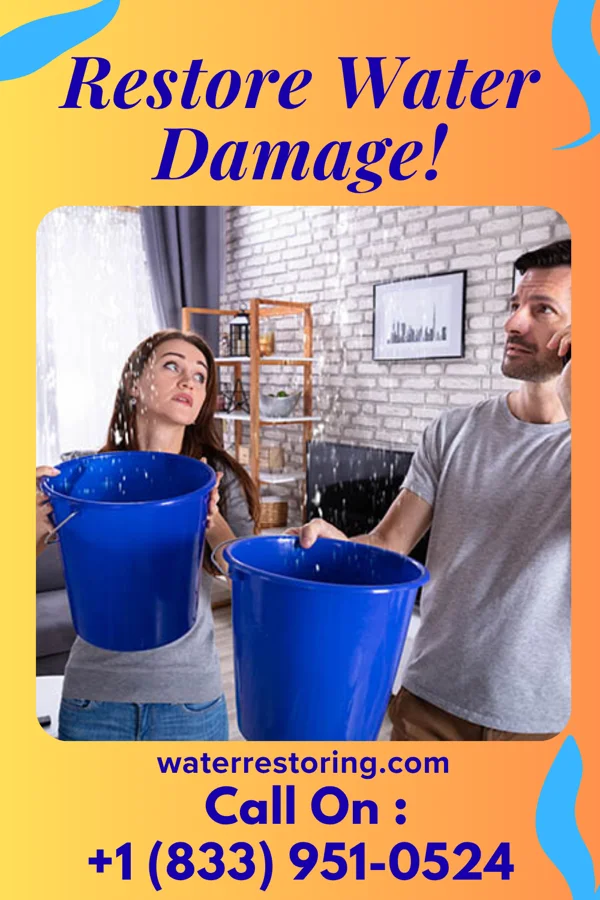 water restoration Platinum Water Repair Co Gilmore City