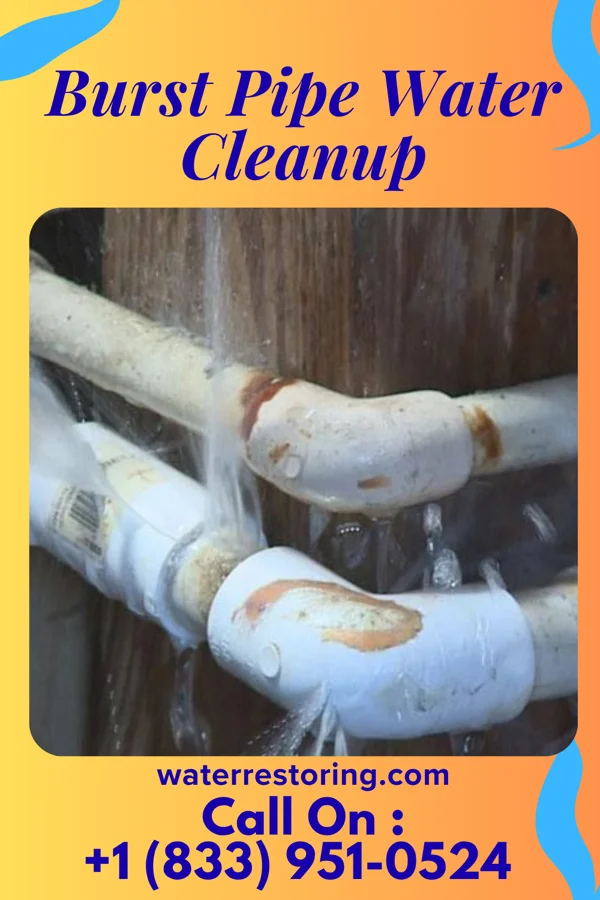 Burst Pipe Water Cleanup in Gilmore City, IA