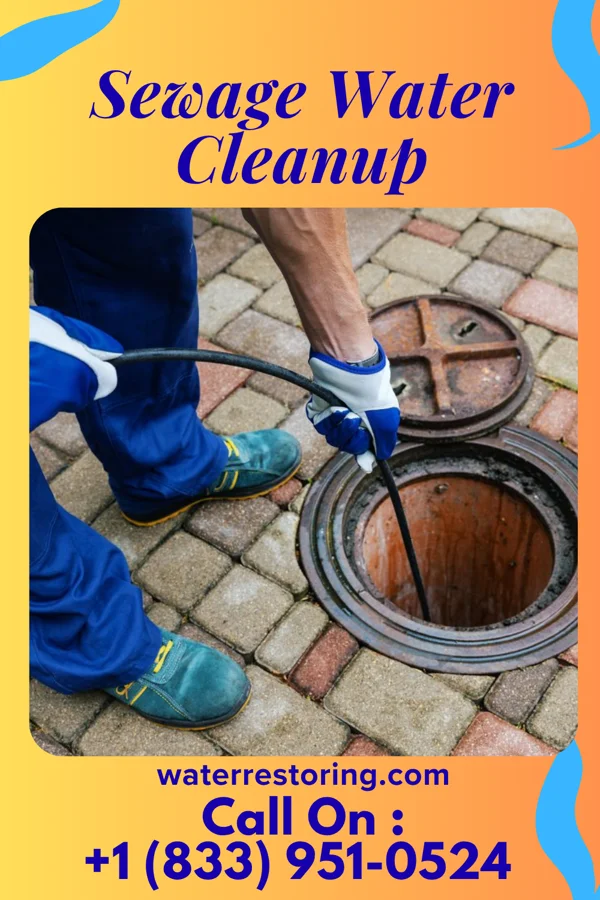 Sewage Water Cleanup in Gilmore City, IA